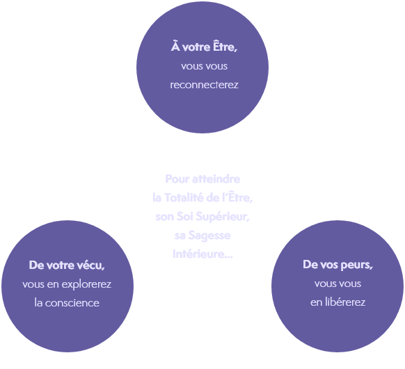 schema-mobile