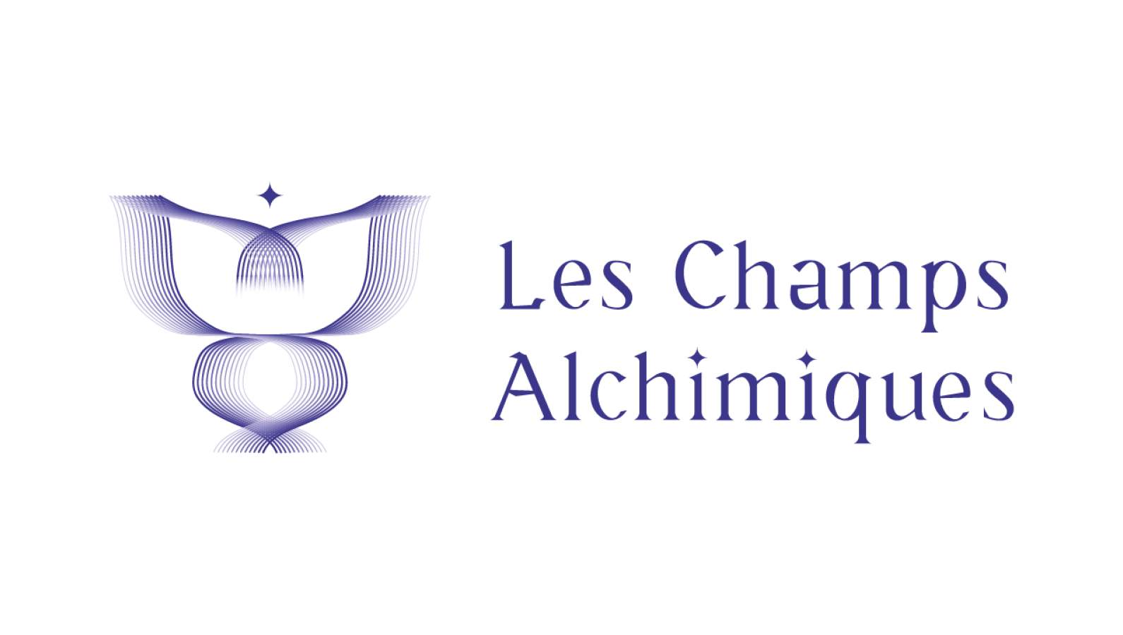 Témoignages de Grandes Transformations