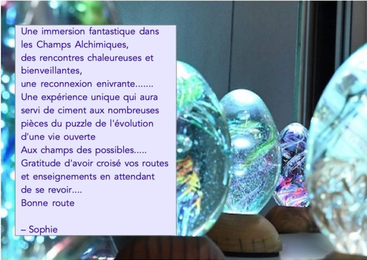 Témoignages Ouverture aux Champ des Possibles